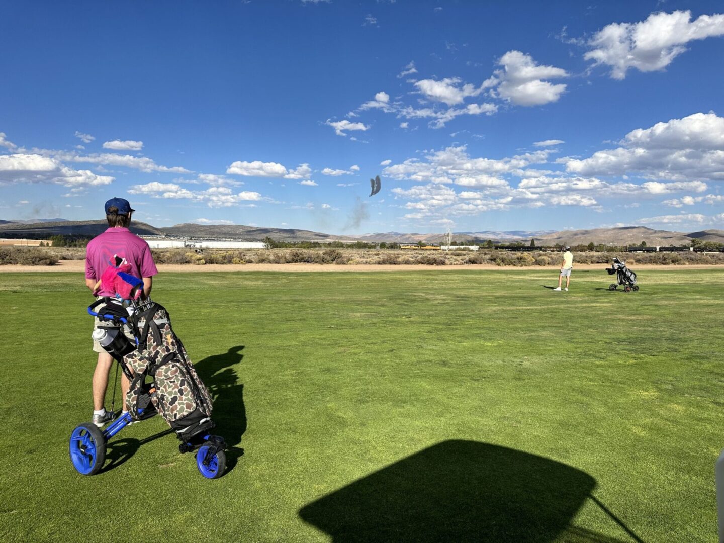 IMG_2446-scaled-scaled